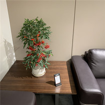 U Miier YouMiller to create Chinese Wind office furniture-YouMiller Fang tea table R01-CT02