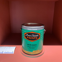 Dunn imported latex paint art paint Alice Hughes indoor household environmentally friendly texture latex paint