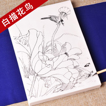Zhen Yan meticulous painting white drawing draft copy large flower and bird picture album bird Magpie hand-drawn line drawing beginner teaching material finished special practice familiar rice paper hook line drawing traditional Chinese painting can be colored