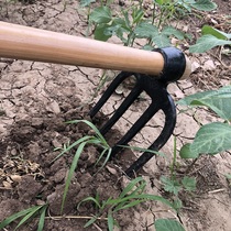 Quenched agricultural Three-tooth hoe hoe hoe rake solid wood long handle agricultural tools loose soil planting flowers and vegetables to open up wasteland