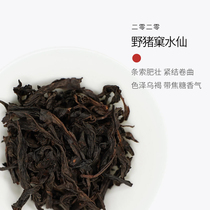 Like Qinghuan 2020 wild boar Narcissus 80g) fragrance like orchid like orchid and long-lasting soup with fragrance