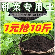 Special universal 100 catfish for nourishing native flowers special earth wholesale balcony vegetables for the cultivation of earth organic soil