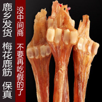 Jilin plum blossom dried deer tendon whole whole stem antler tendon with ginseng deer antler deer whip bubble wine 250g
