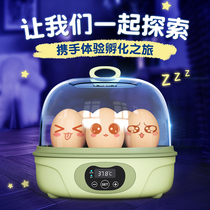 Mini incubator small smart child incubator household type chicken automatic incubator bird egg incubator