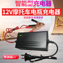Car battery charger 12v high-power lead-acid battery fast charger intelligent power loss repair General
