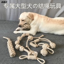 Big dog toy Golden Labrador resistant to bite molars method fight teddy dog knot rope toy small dog interaction