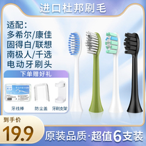 Adapted to multi-Hill DOXO Konka Lenovo Antarctic people thousand choice solid white electric toothbrush head replacement soft hair