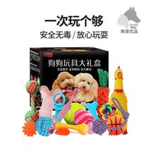 Pet dog toy Bite-resistant Teddy Golden Retriever Puppy Dog Miserably Calling Chicken Sounding Dog Toy Ball Products