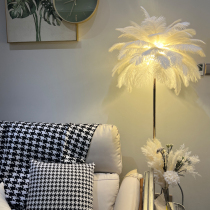 Net red feather landing lamp wedding road title ostrich Maoine in Living Room Tea few Living Light Light