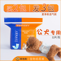 Male dog diapers Teddy Bears Bear Golden Hair Corky Special Large Medium and Small Dog Pet Supplies