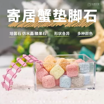 寄居蟹石头-寄居蟹石头促销价格、寄居蟹石头品牌- 淘宝