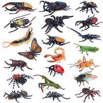  Simulation insect model childrens toy animal butterfly bee scorpion grasshopper mantis knowing spider lizard