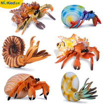 Simulation hermit crab toy Nautilus marine animal model solid plastic childrens cognitive ornaments gift