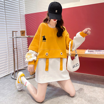 Pregnant woman breast-feeding sweatshirt autumn 2021 new fake two sets long sleeves with loose large code to feed the milk blouse