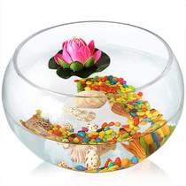 Student fish tank garden round cylindrical personality trumpet raising goldfish small and medium-sized beautiful goldfish tank household small