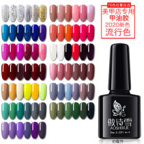 Nail Polish glue 2021 new nail fashion color nude color ice cross color seal set 20 nail shop dedicated