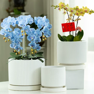 粉彩花盆-粉彩花盆促销价格、粉彩花盆品牌- 淘宝