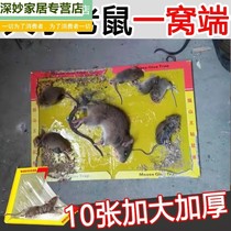 Mouse Mucus Powerful Mucus Plate Super Force Adhesive Large Rat Trap Mousetrap Rats God Ware Rats Stick to Stick Catch and Catch Domestic Arrest