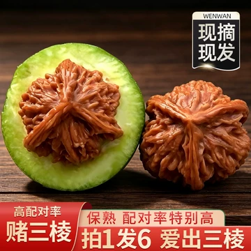 南疆石核桃文玩-南疆石核桃文玩促销价格、南疆石核桃文玩品牌- 淘宝