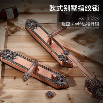 Yinchi villa door fingerprint lock European double Open copper door password lock home security door remote control smart lock