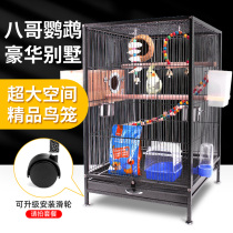 Luxury Villa bird cage tiger skin Xuanfeng parrot special large large large bird breeding cage