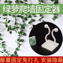 Climbing green basket vine wall climbing artifact holder Traction seamless wall sticky wall self-adhesive hook potted plant