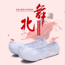 North dance Korean dance shoes traditional hook shoes White classical dance shoes indoor practice shoes children men and women canvas