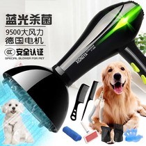 Fragrant pet hair dryer Hair blowing artifact Water blowing machine High-power dog special golden retriever Teddy Small large dog