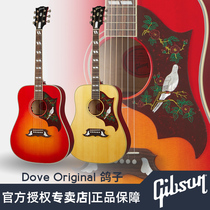Gibson Gibson Dove Dove Original US production full single electric box Folk acoustic guitar