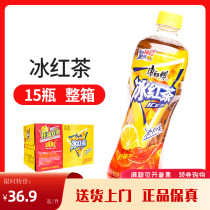 Master Kong ice tea 500ml*15 bottles of whole case of ice tea Master Kong lemon flavor black tea drink