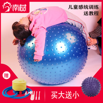 Dragon ball childrens sensory training yoga ball fitness ball pregnant womens midwifery weight loss massage balance touch ball