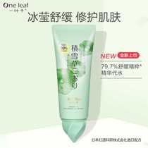 A leaf of Centella asiatica Multi-Effect repair body essence cream soothing long-lasting Frost high water essence female 120ml