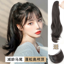 Pony-tailed wig female hair curly hair grab clip simulation hair high ponytail natural Net red strap short braid fake ponytail