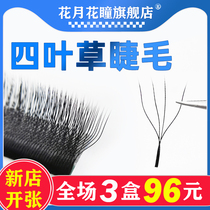 Four Leaf Grasses Eyelash Beauty Mascara Special Graft Super Soft 4Dyy Type Flowering 0 05 Three Leaf Grass Planted False Eyelash
