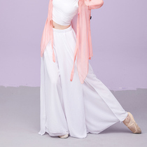 Classical dance pants wide-leg pants adult female elegant loose split Chinese style folk dance practice pants costume