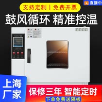 Electric constant temperature blower small oven industrial laboratory drying oven dryer aging test chamber headlight oven