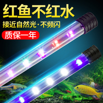 Highlight diving fish tank light LED light source full light switch color waterproof lighting water grass aquarium brightening light