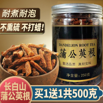 Dandelion root tea dry goods 500g Changbai Mountain Pugongying tea flagship black tea not super wild fried cooked
