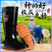 In summer Shanghai brand natural rubber breathable water shoes take-out rider water shoes men's fire shoes planting high cylinder