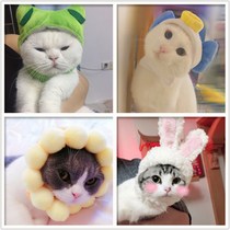 Pet lion headgear rabbit ears small dog dog hat cat cute funny accessories headdress change dress