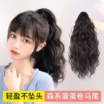 Sky tree egg roll grab clip Mori fake ponytail wig female summer Net Red Shark clip high ponytail simulation hair braid