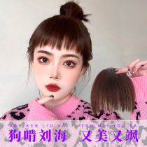 Dog chew bangs wig female Japanese real hair two-dimensional eyebrows on short bangs wigs natural no trace fake bangs