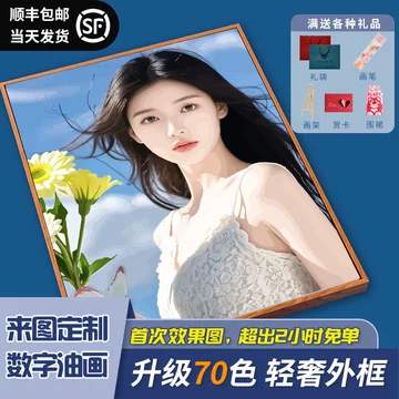 数字油画定制人像-数字油画定制人像促销价格、数字油画定制人像品牌- 淘宝