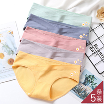 Pregnant womens underwear autumn and winter thin cotton early pregnancy in the second half of pregnancy large size low waist belly shorts