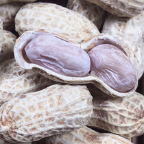 Min Dalang Longyan peanuts boiled white salted dried peanuts with shell 500g*2 bags of snacks nut specialty