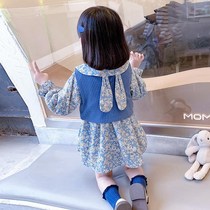 Girl sweater floral skirt two-piece female baby Autumn suit 2021 Korean Spring and Autumn new foreign style dress