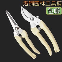 Cut flower scissors fruit pruning scissors embroidery steel fruit tree force grape pruning special gardening manual