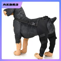 Pooch rear leg Kneecap Kneecap Leg Powerless to assist articular patella Injury Protection Postoperative Rehabilitation Strap Protective