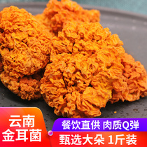 Golden ear dry goods 500g Yunnan specialty golden ear fungus yellow ear fresh dried silver ear soup yellow fungus golden ear mushroom