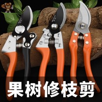Garden gardening pruning handmade household rough shears flower scissors fruit tree handmade scissors labor-saving Flower Branch scissors